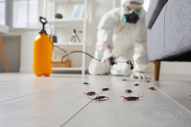Commercial Rodent Management in Point Clear